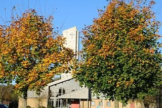 Dyrup kirke set gennem efterårsblade
