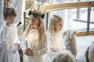 Lucia optog